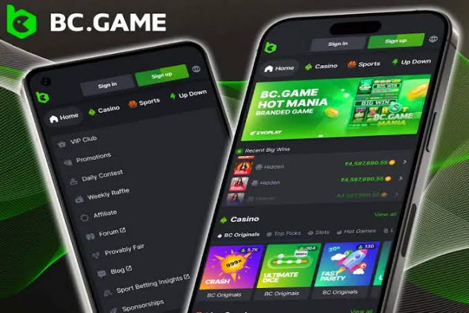 Exploring the BC.Game Platform A New Era of Online Gaming
